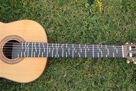 An Arithmetical Demonstration of Inadequacy of Fixed Frets : The Steel ...