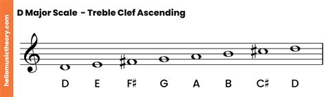 D Major Scale: A Complete Guide