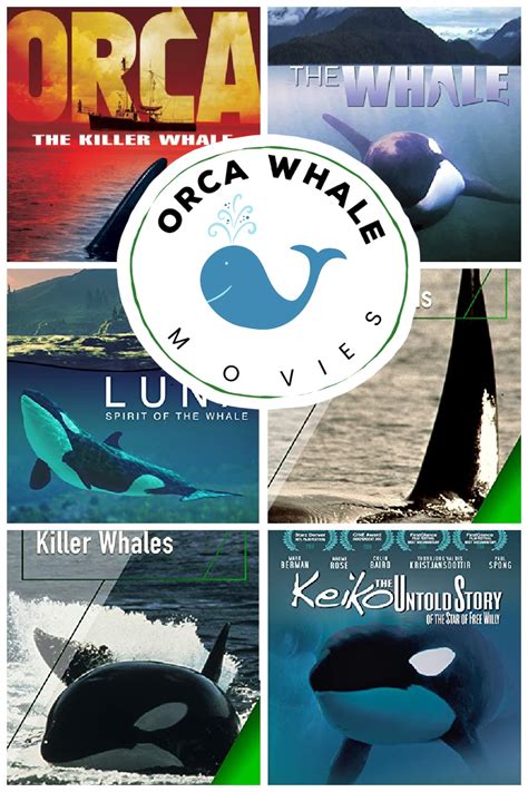 Orca Whale Movies for Kids of All Ages