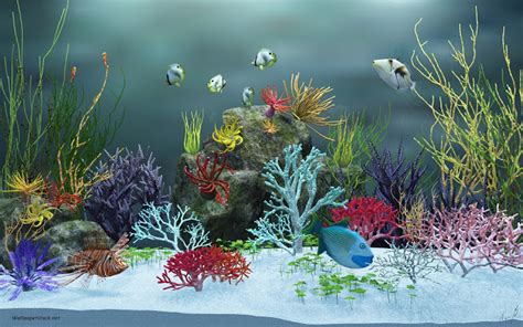 Aquarium HD 1080p Wallpaper - WallpaperSafari