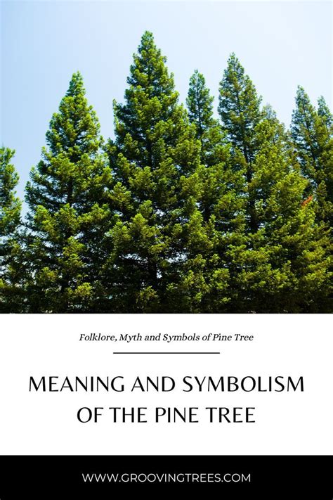 Pine tree symbolism and meanings – Artofit