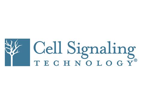 CST - T-Cell Receptor Signalling Pathway