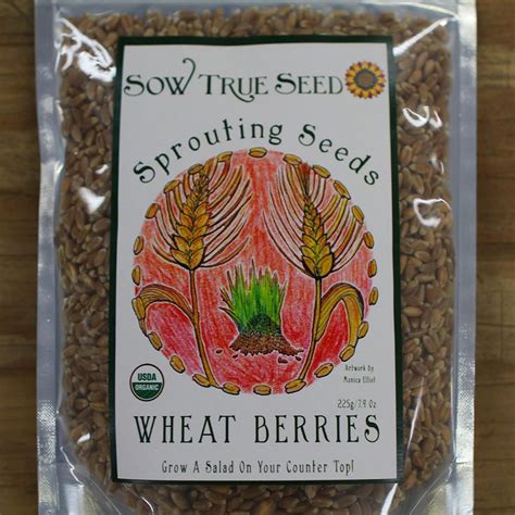 Sprout Seed Wheat Berries | Wheat berries, Berries, Sprouts