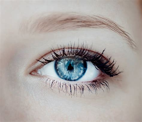 Human Eye Close Up Pictures, Images and Stock Photos - iStock