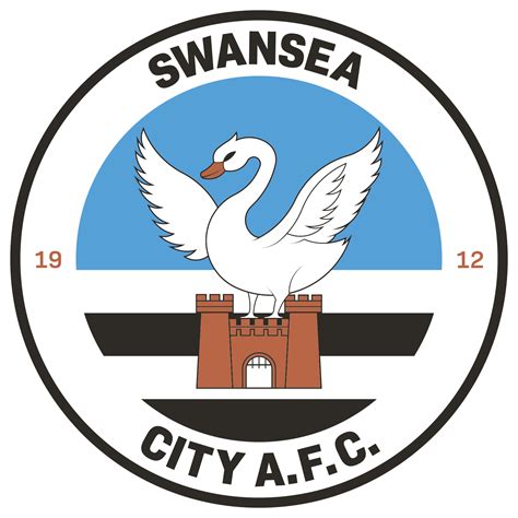 Swansea vs Cardiff Rivalry Questions (From an American Southampton fan ...