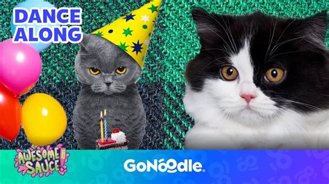 Cat Party Song | Songs for Kids | Dance Along | GoNoodle - YouTube