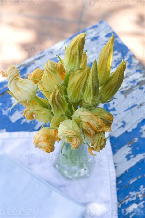 Zucchini Flowers 815535 Stock Photo at Vecteezy