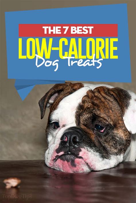 7 Best Low Calorie Dog Treats of 2020 (Good for Training and Dieting)