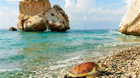 Best beaches in Cyprus - Lonely Planet