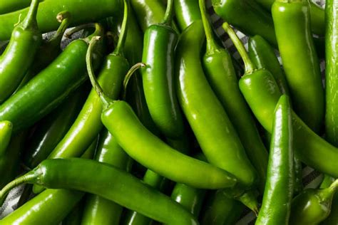 Serrano Pepper vs. Jalapeno: What Are The Differences? - A-Z Animals