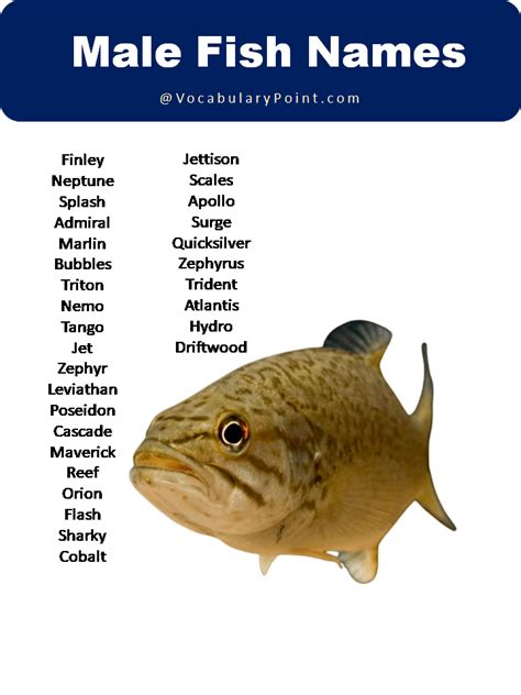 Best Fish Name Ideas (Sea and American Fish Names) - Vocabulary Point