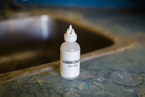 How To Treat Ammonia Poisoning in Fish