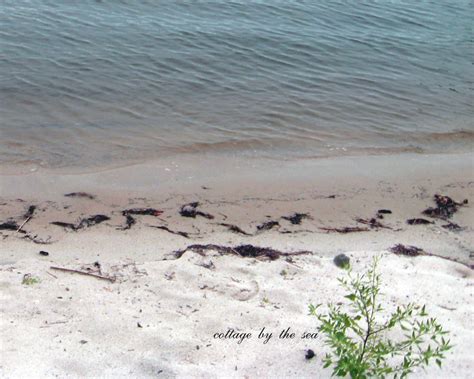 ~Cottage by the Sea ~: Garnet Sand