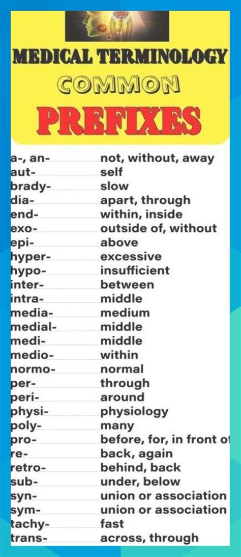 Printable Medical Terminology Flashcards