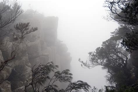 Foggy day in nature-9056 | Stockarch Free Stock Photos