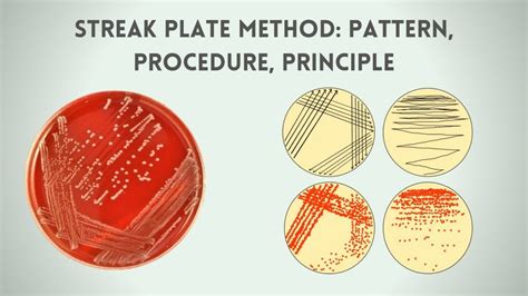 Streaking Method - TerrellsrVelazquez