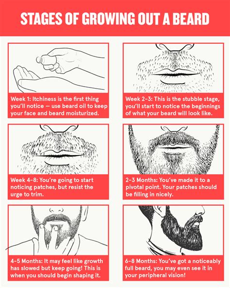 How to Grow a Beard, According to the Experts | Keeps