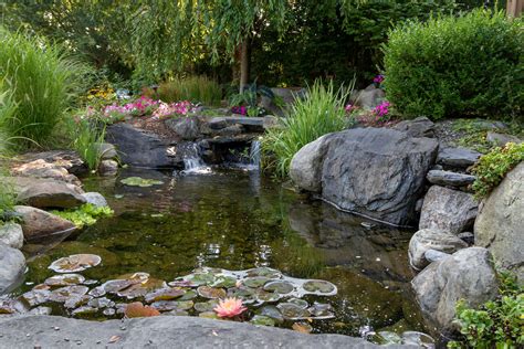 Everything You Need to Know to Build a Backyard Pond - This Old House