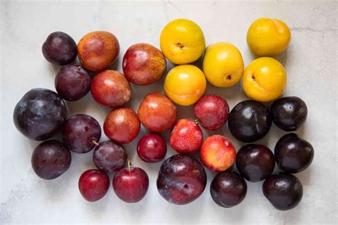 Plums: Varieties, Season, and Picking the Best