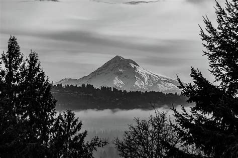 Mt. Hood Above the Clouds, black and white Photograph by Melanie Wood ...