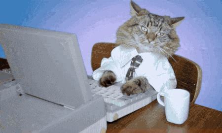 Computer Cat GIFs - Find & Share on GIPHY