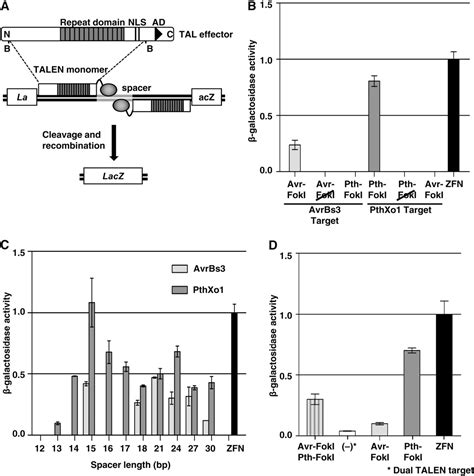 nuclease | Semantic Scholar