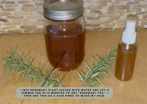 Rosemary For Hair Benefits | 4 Important Reasons, How To Use, Hair ...