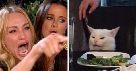 27 "Woman Yelling At A Cat" Memes That Have Kept Me Laughing So Hard