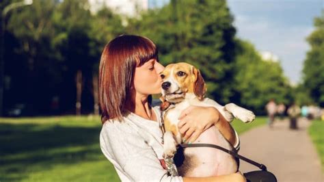 8 Ways to Say 'I Love You' in Dog Language | The Dog People by Rover.com