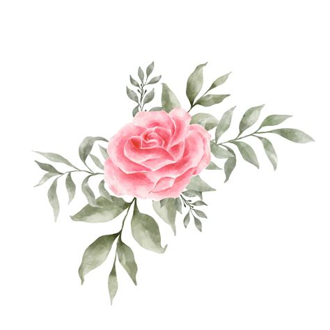 Rose Pink Flower White Background | Best Flower Site