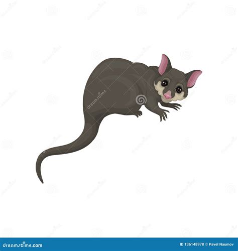 Clipart Possum Cartoon - Free cartoon possum vector download in ai, svg ...