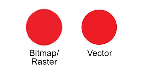 Bitmap vs Vector: The Differences Between Vector and Bitmapped