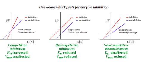 Mixed Inhibition Graph