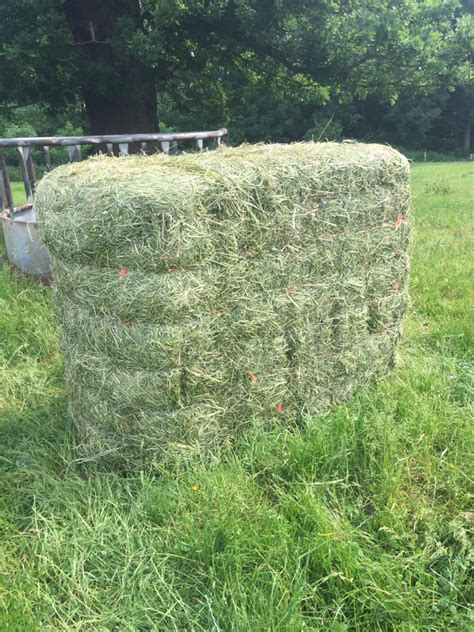 Round bales of silage per acre | Page 2 | The Farming Forum