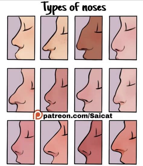 Nose Drawing, Drawing Base, Drawing Tips, Markings On Skin Drawing ...