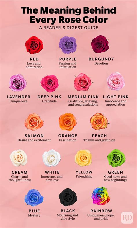 17 Rose Color Meanings to Help You Choose the Perfect Bouquet