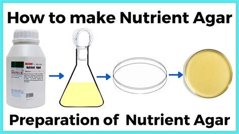 Nutrient broth composition and uses - RBR Life Science