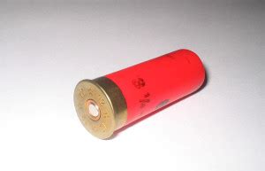 Shotgun Slug Types & Shot Sizes Guide