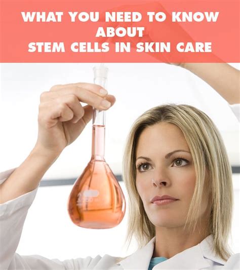 What Can Stem Cells Really Do For Your Skin? | Skin health, Skin, Stem ...