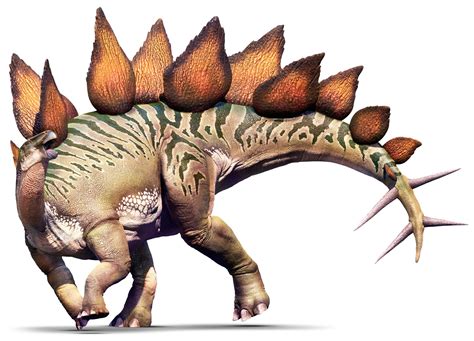 Stegosaurus | Stegosaurus Facts | DK Find Out