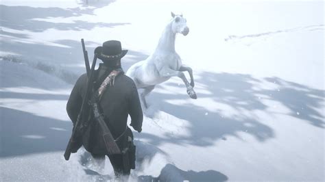 Where to find the best wild Arabian horse in Red Dead Redemption 2 ...