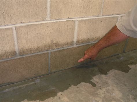 Basement Waterproofing Costs | DIY basement waterproofing tips ...