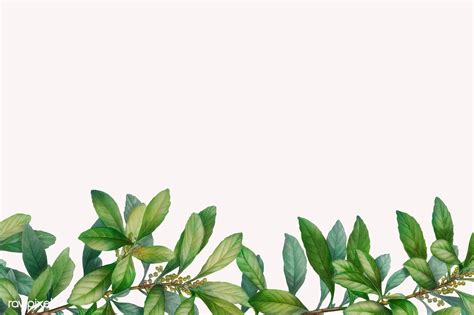 Tropical botanic leaves background illustration | premium image by ...