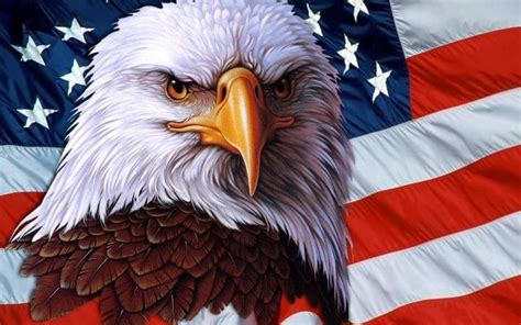 American Eagle Wallpapers - Wallpaper Cave