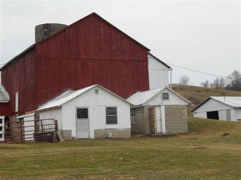 New York State of Mind: OLD ORDER MENNONITE FARM