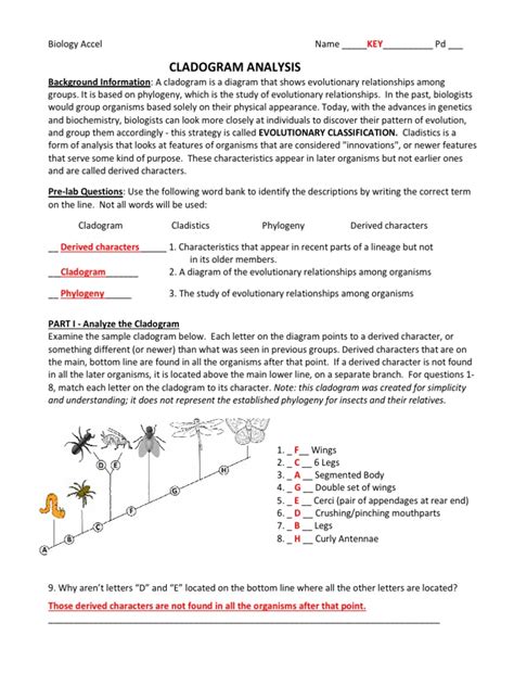 Solved Phylogeny and Cladistics Worksheet (These are the | Chegg.com ...