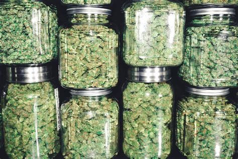 Ignore Tilray: Here Are 2 Better Marijuana Stocks | The Motley Fool