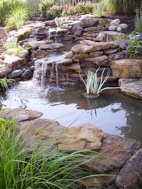 Pond Plants: What You Need To Know - Pond Talk | Pond landscaping ...