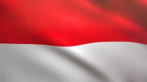 Indonesian Flag waving animated using MIR plug in after effects - free ...