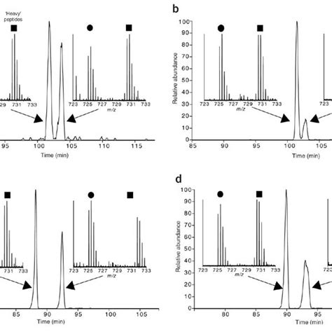 (PDF) Iodoacetamide-induced artifact mimics ubiquitination in mass ...